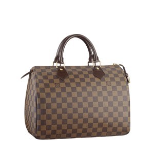 Louis Vuitton Damier Ebene Canvas Speedy 30 N41531